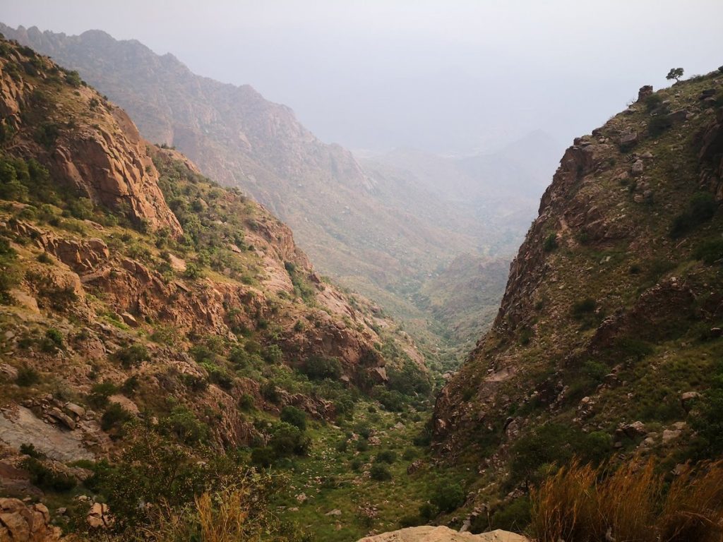 منتزه المسقي