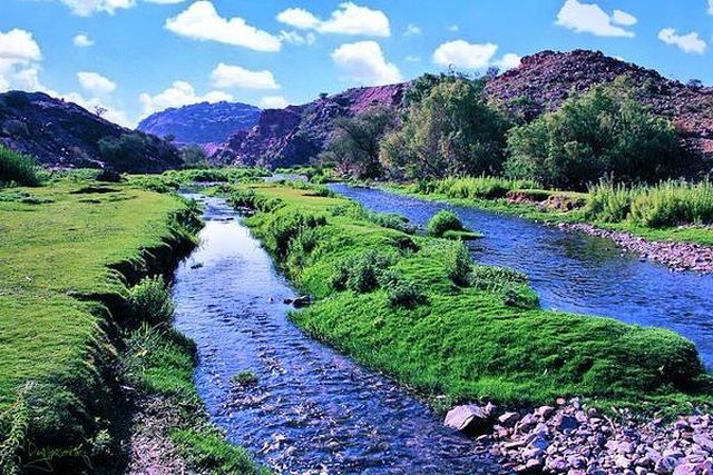 منتزه سيسد الوطني